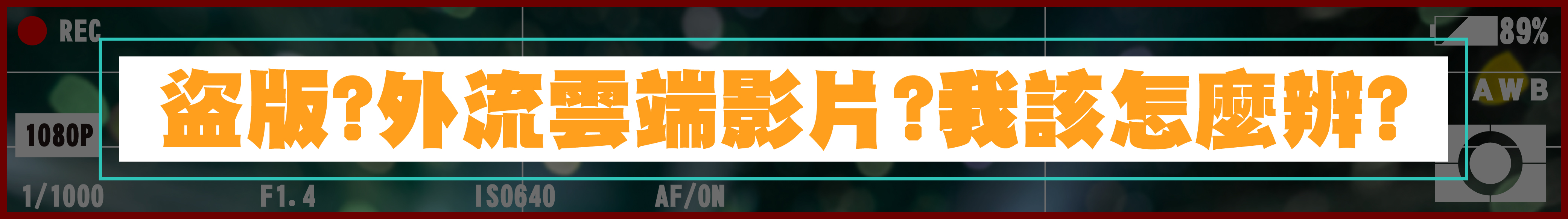 盜版克星|加密隨身碟
