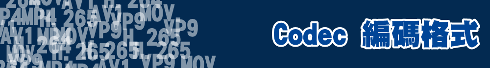 Codec 編碼格式